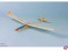 Lilienthal 31 RC Spannweite 1140mm Lilienthal 31 RC Spannweite 1140mm