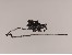 Flachankerkette Messing, anthrazit 2,4x1,9mm
