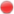 shopicon-bestellen.png