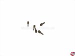 Handlaufdurchzug Messing 1,5mm Aeronaut 510015