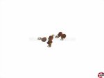 Juffern aus PVC dunkel 4mm mit Ring Aeronaut 528154