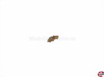 Zylinderkopf-Gewindeschrauben Schlitz M1x4mm Messing DIN 84 Aeronaut 777101