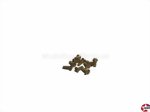 Linsensenkkopf-Gewindeschrauben Schlitz M2x8mm Messing Aeronaut 777601
