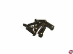 Zylinderkopf-Gewindeschrauben Schlitz M3x15mm Messing DIN 84 Aeronaut 777815