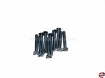 Senkkopf-Gewindeschrauben Schlitz M2x16mm Stahl verzinkt DIN 963 Reichelt SSK M2X16-200