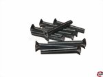 Senkkopf-Gewindeschrauben Kreuz M4x30mm Stahl verzinkt DIN 965 Der Fuchs 2020 4 30T200