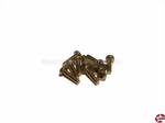 Linsenkopf-Gewindeschrauben Kreuz M3x12mm Edelstahl DIN 7985 Birkhofer 07985.2.200.030.0120