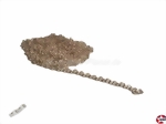 Ankerkette Messing, silber 1,5x2x0,4mm DRU-3313.20-02