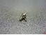 Webra 1020/161 D�senstock 32RC Competition